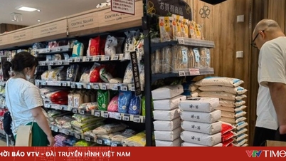 Οι εισαγωγικοί φόροι στο βόειο κρέας και το τυρί στην Ιαπωνία κινδυνεύουν να αυξηθούν απότομα.