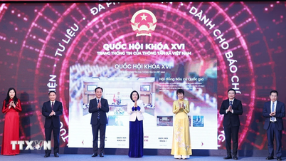 Översikt över Vietnam News Agencys lansering av en särskild informationssida om valen till nationalförsamlingen och folkrådet.