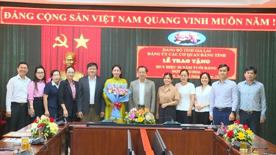 ប្រគល់​ផ្លាកសញ្ញា​សមាជិកភាព​បក្ស​រយៈពេល 30 ឆ្នាំ​ជូន​លោកស្រី Huynh Thuy Van អនុប្រធាន​ក្រុមប្រឹក្សា​ប្រជាជន​ខេត្ត។