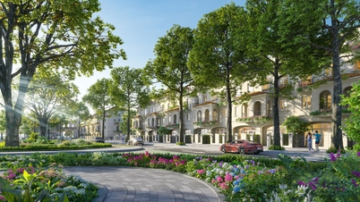 Officially launching the Golden Townhouse product line at the Eurowindow Sport Garden project.