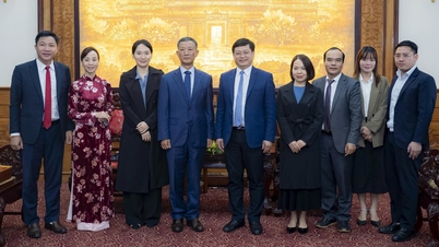 Los líderes de la ciudad mantuvieron una reunión de cortesía con el Cónsul General interino de Corea del Sur en Da Nang.
