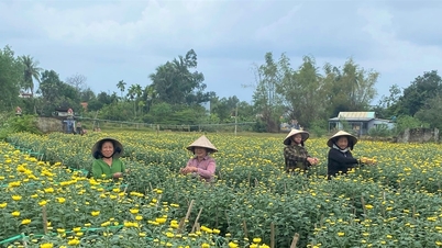ハドン村では春の花市場が開催されます。