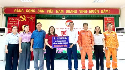 Компания Tuyen Quang Hydropower Company принимает упреждающие меры в связи с сезоном дождей и наводнениями.
