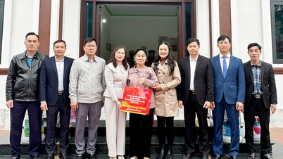 La vicepresidenta del Consejo Popular Provincial, Lam Thi Huong Thanh, entrega regalos del Tet en las comunas de Hiep Hoa y Hop Thinh.