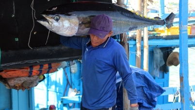 As exportações de frutos do mar para a China aumentaram, compensando a queda no mercado americano.