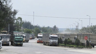 Quang Ngai پارٹی کانگریس کا جشن منانے کے لیے 3 بڑے منصوبوں پر تعمیر شروع کرنے کی تیاری کر رہا ہے۔