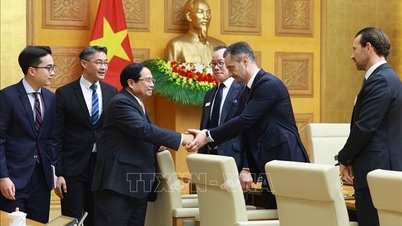 Le Premier ministre reçoit le président du Forum économique Suisse-Vietnam et des représentants du monde des affaires.