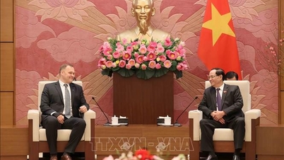 Vietnam och Ungern stärker samarbetet kring lagstiftning och tillsyn inom nationell säkerhet.