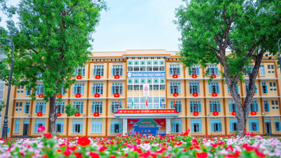 បណ្តុះបណ្តាលធនធានមនុស្សសម្រាប់មជ្ឈមណ្ឌលហិរញ្ញវត្ថុអន្តរជាតិដាណាំង។