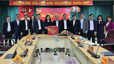 Menteri Kesihatan Dao Hong Lan mengucapkan selamat Tahun Baru kepada Institut Malaria, Parasitologi dan Entomologi di Quy Nhon.