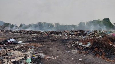 Investment in the Kinh Mon Waste Treatment Plant project: 344 billion VND.
