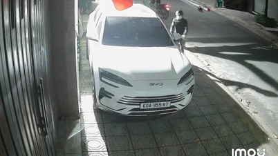 Alarm raised over car door theft in Tan Trieu ward, Dong Nai province.