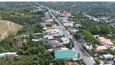 La primavera llega a Da Huoai 2, la tierra de los agricultores multimillonarios de durian.