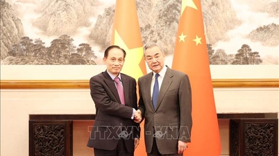 Promoting the Vietnam-China bilateral relationship to develop in a deeper and more substantive way.