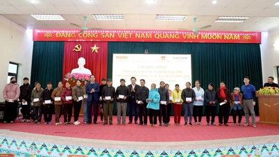 មូលនិធិគ្រាប់ពូជវៀតណាម និងកាសែតញ៉ានដាន បានប្រគល់អំណោយបុណ្យតេតចំនួន ១០០ សម្រាប់ឆ្នាំសេះ ២០២៦ នៅឃុំតឹនត្រាវ។