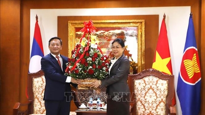 Signifikansi strategis dan pentingnya persahabatan Vietnam-Laos.