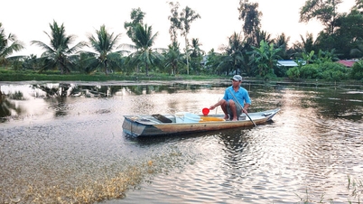 ฟาร์มเลี้ยงกุ้งในเมืองเมียนทู่กำลังอยู่ในช่วงฤดูกาล