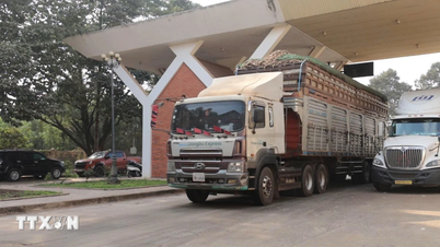 The application of Decree No. 46 on food safety will be temporarily suspended until April 15th.