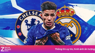 Enzo Fernandez កំពុងបង្កភាពចលាចលនៅ Chelsea។