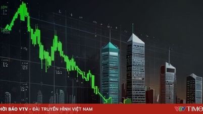 Allowing foreign investors to trade through global brokers.