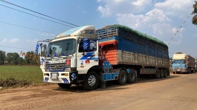 ป้องกันปัญหาความแออัดและการสะสมของอาหารและสินค้าสำหรับการนำเข้าและส่งออก