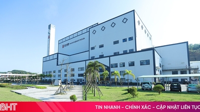 Green spaces at the most modern waste-to-energy plant in Central Vietnam.