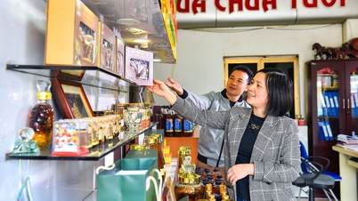 Hai Phongban a nyugati női vállalkozók együttműködnek és kapcsolatokat építenek a siker érdekében.