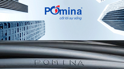ក្រុមហ៊ុន Pomina Steel ទទួលរងការខាតបង់សម្រាប់ឆ្នាំទីបួនជាប់ៗគ្នា។
