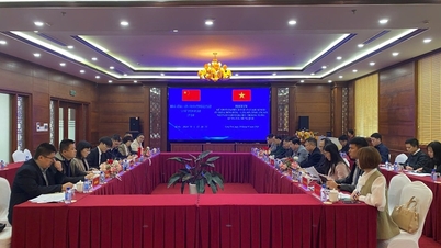 Dong Dang - Lang Son Sınır Ekonomik Bölgesi Yönetim Kurulu, Çin'in Guangxi eyaletine bağlı Bang Tuong kasabasından gelen bir heyetle görüşmeler gerçekleştirdi.