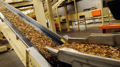 Das Ministerium für Industrie und Handel hat für das Jahr 2026 eine Importquote von knapp 80.000 Tonnen Rohtabak festgelegt.