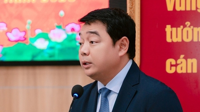 Az ACV Nguyễn Đủ Hứng urat nevezi ki az igazgatótanács élére.