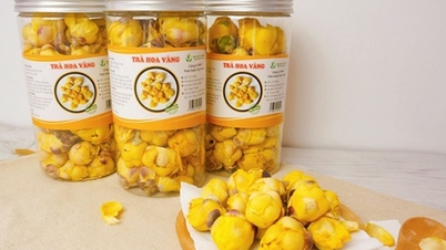 Produk-produk khas OCOP (One Commune One Product) dari Quang Ninh siap melayani pasar akhir tahun selama musim liburan Tet.