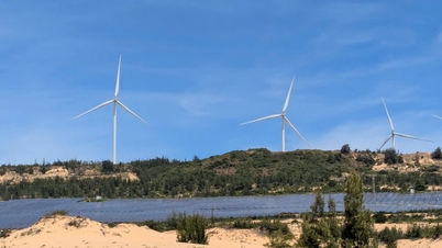 Der Investor für das über 48 Billionen VND teure Windkraftprojekt in Gia Lai wurde bekanntgegeben.