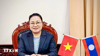 Embajador de Laos en Vietnam: La elección de diputados a la 16ª Asamblea Nacional es un hito importante.
