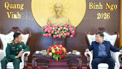 គណៈប្រតិភូសេដ្ឋកិច្ច-ការពារជាតិនៃយោធភូមិភាគទី ៧ ផ្ញើសារជូនពរឆ្នាំថ្មីដល់គណៈកម្មាធិការបក្សខេត្ត Lam Dong។