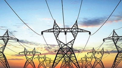 Bac Ninh province has granted an electricity operation license to Tan Son - Hung Son Electricity Service Cooperative.