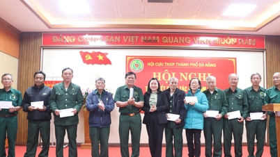 L'Associazione degli ex giovani volontari della città di Da Nang ha raccolto 6,75 miliardi di VND a sostegno dei suoi membri.