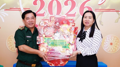 Pemerintah Pasukan Pengawal Sempadan wilayah An Giang menyampaikan ucapan Tahun Baru di komune Vinh Dieu, daerah Giang Thanh dan wad Ha Tien.