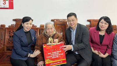 Biträdande sekreterare för den provinsiella partikommittén Tran Huy Phuong överlämnar Tet-gåvor i Lang Giang-kommunen.