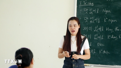 Los medios de comunicación coreanos están sorprendidos por el furor del idioma coreano en Vietnam.