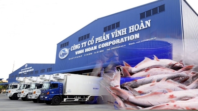 تم توبيخ فينه هوان (VHC) من قبل HOSE لتأخير نشر تقريرها المالي للربع الرابع من عام 2025.