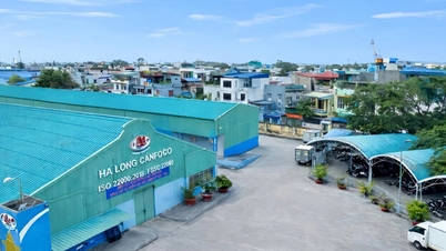 Compania de conserve Ha Long raportează pierderi uriașe după scandalul cărnii de porc contaminate.