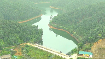 Lao Cai eyaleti Halk Komitesi, 2025 yılına kadar pirinç yetiştiriciliğinin geliştirilmesine hizmet edecek sulama sistemlerinin onarımı ve yenilenmesi için 16 görevi onayladı.