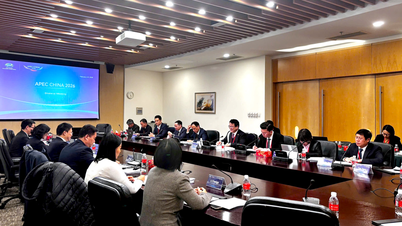 APEC 2026 এর পাশাপাশি: ভিয়েতনাম এবং চীন মূল আঞ্চলিক আর্থিক নীতির অগ্রাধিকারগুলি নিয়ে গভীর আলোচনা করেছে।