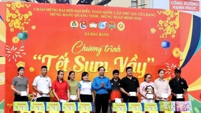 Bandar Raya Ho Chi Minh: Menangani aspirasi rakyat yang sah, menyumbang kepada memastikan keselamatan dan ketenteraman semasa Tet.