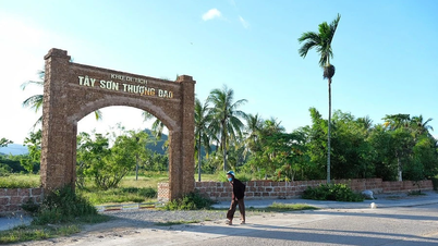 Tay Son Thuong Dao tarihi sit alanı kompleksinin korunması, restorasyonu, rehabilitasyonu ve değerinin tanıtılması için bir plan geliştirin.