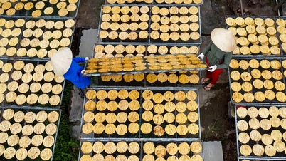 Sate meșteșugărești tradiționale vechi de secole din Delta Mekongului în timpul sezonului Tet.