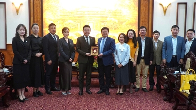 ក្រុមហ៊ុនសំណង់ Pacific Construction Group ពិភាក្សាអំពីទិសដៅសហប្រតិបត្តិការវិនិយោគនៅទីក្រុង Hue។