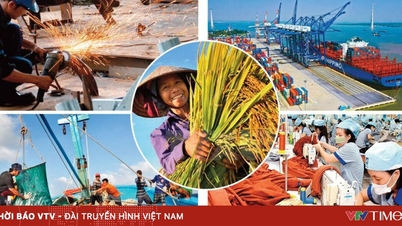 Vietnam maakt de overgang van snelle groei naar kwalitatief hoogwaardige groei.