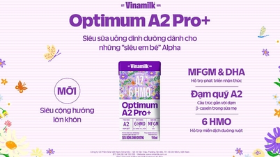 A Vinamilk bemutatja az Optimum A2 pro+-t prémium A2 fehérjével, 6 HMO-val, MFGM-mel és DHA-val.